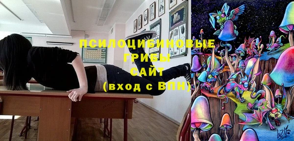 индика Алексеевка
