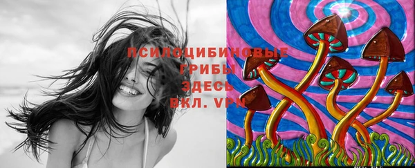 мет Абаза
