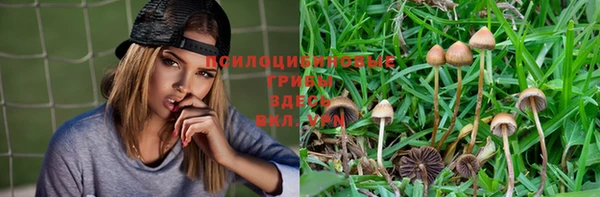 соль ск Абинск