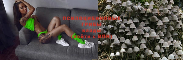каннабис Алзамай