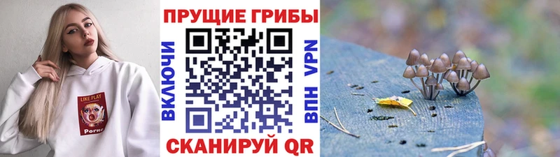 гидра сайт  Ермолино  Галлюциногенные грибы GOLDEN TEACHER  магазин  наркотиков 